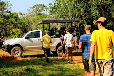 Tangalle/Hiriketiya: Udawalawa Safari & Elephant Transit Hom