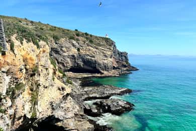 Dunedin City & Otago Peninsula Scenery Day Tour