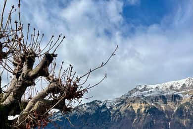 Best of Switzerland Bernese Oberland Day Trip with Cable Car