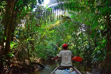 Desde Iquitos || Navega por el río Amazonas - Día completo ||
