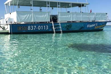 Destin: Crab Island Catamaran Tour with Dolphin Watching