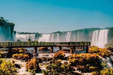 Explore the Falls, Bird Park and Macuco Safari