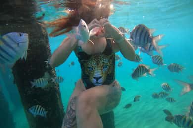 VIP-snorkling med skildpadder - et eventyr