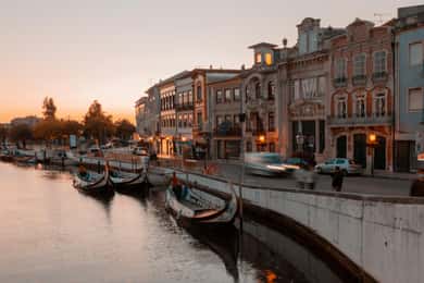 Porto: Private Tour to Lisbon (or vice versa) with stops