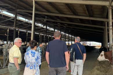 Modena/Bolonha: Ferrari, Lambo, Queijo, Vinagre Tour com Almoço