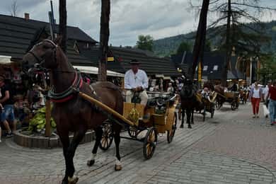 Depuis Cracovie : Excursion privée à Zakopane et aux thermes
