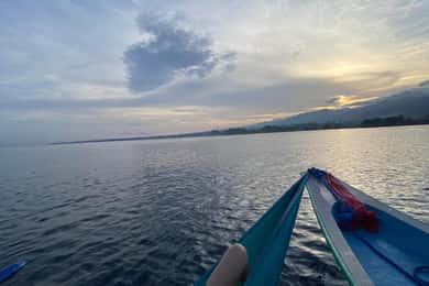Lovina : Lovina Dolphin tour and Lovina Snorkeling reef