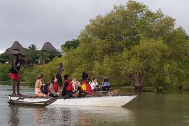 mangrove tour