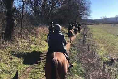 Siena: Tour a Cavallo Sulla via Francigena