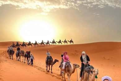 De Merzouga: Passeio noturno de camelo pelas dunas de Erg Chebbi