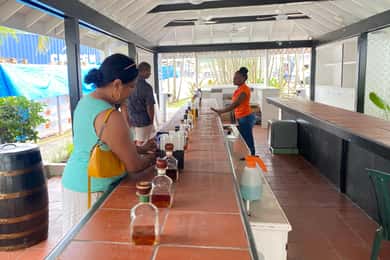 St. Lucia: Sightseeing, Rum tasting, and Shopping Tour
