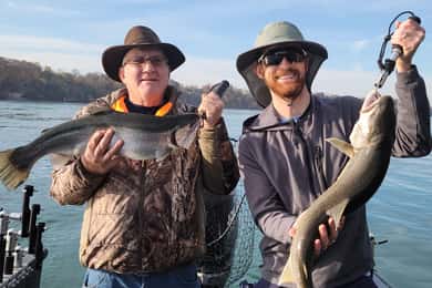 Charter de Pesca en Río Niágara en Lewiston Nueva York