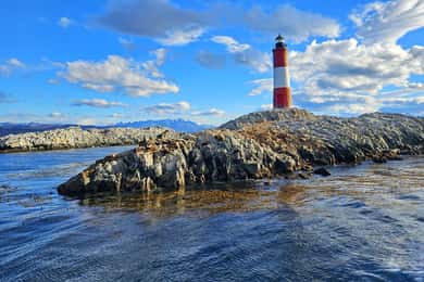 Ushuaia: Beagle Channel and Penguin Island