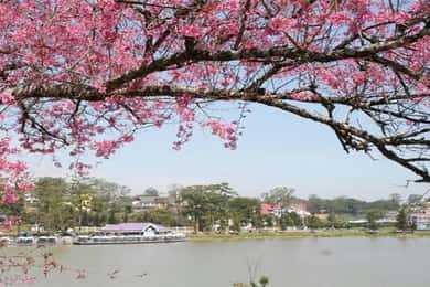 From Nha Trang: Best Seller Top Site Luxury Da Lat City Trip