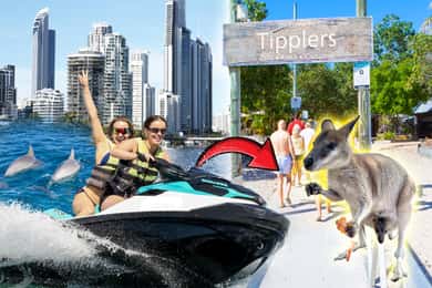 Surfers Paradise: 2 Hour Tropical Island Jet Ski Tour