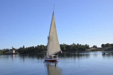 Cairo: Passeio de Felucca de 1 ou 2 horas no Nilo com traslados