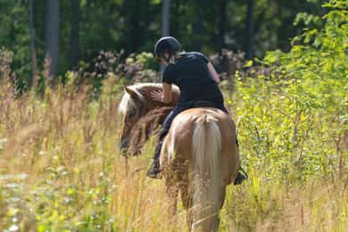 Cruseilles: Horseback Riding in the Countryside