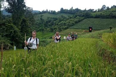 Chiang Mai: 2-Day Jungle Trek with Elephant Farm & Raft Ride