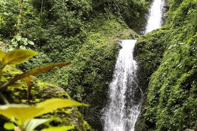 Day Trip to Las Filipinas Waterfalls with Lunch