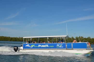 Dolphin Watch/Eco Cruise