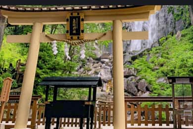 Kyoto/Osaka: Mount Koya ,Wakayama & Nachi falls private Tour