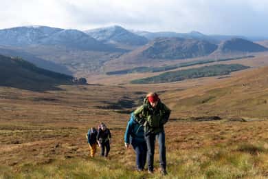 From Edinburgh: 4,000ft Mountain Hike - Scottish Highlands