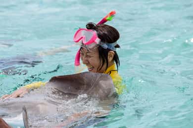 Bora Bora: Full-Day Lagoon Snorkelling Tour