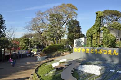 Yokohama Port: Half-Day Guided Tour with Luxury Vehicle