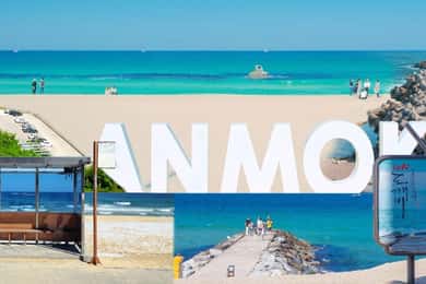 Seoul: Gangneung from K-Pop Band Bus Stop to Anmok Beach