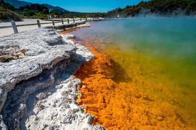 Auckland: Rotorua Wai-O-Tapu, Te Puia with Haka