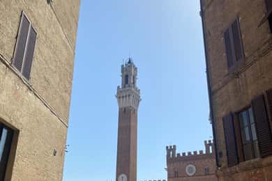 Florens: San Gimignano & Siena provsmakningsupplevelse