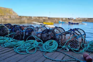 Depuis Aberdeen : Visite des villages côtiers de l'Aberdeenshire