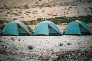 Trekking da Dana a Petra + Wadi Rum e Mar Morto