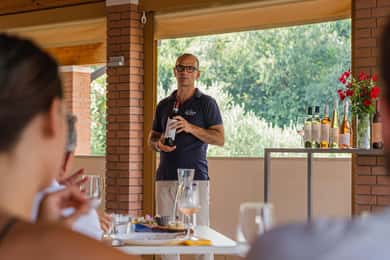 Bardolino: Vineyard Tour with Wine, Olive Oil & Food Tasting