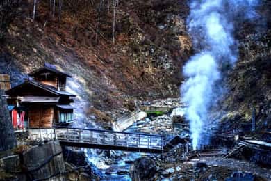 From Tokyo: Snow Monkey Private Full- Day tour