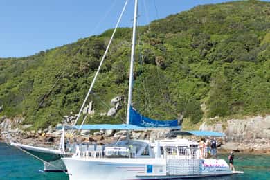 Nelson Bay: Marine Discovery Cruise with Snorkeling