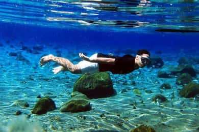 Kailua Kona: Tour di snorkeling con delfini, grotta marina e Capitano Cook