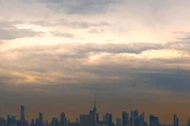 Kuwait: City and Desert Full-Day Tour