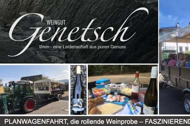Lieser: covered wagon ride, the rolling wine tasting with picnic basket