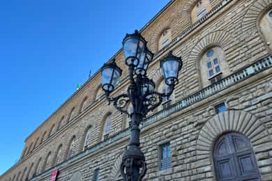 Biglietti per la combinazione di David, Palazzo Pitti e Giardini
