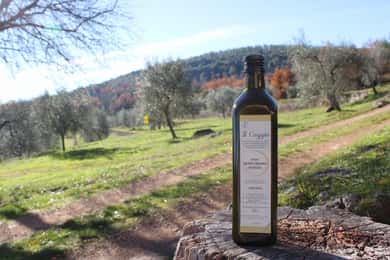Siena: Esperienza di olio EVO con passeggiata, degustazione e pranzo