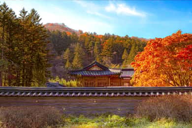Seoul: Odaesan or Daedunsan Park Autumn Foliage Day Tour