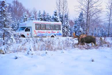 Anchorage: Guided City Tour