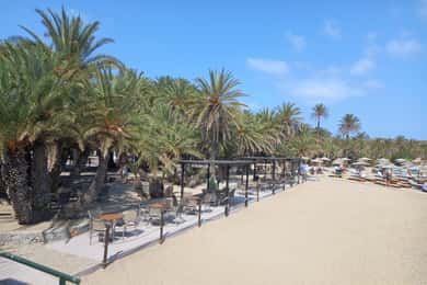 Vai Palm Beach Full Day Private Tour