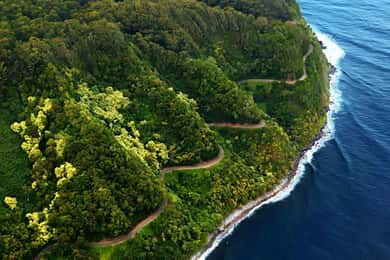 Road to Hana: Professional Guide, Food, Swimming, Waterfalls