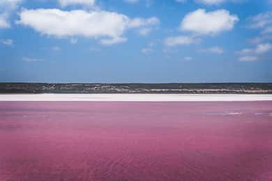From Valencia: Pink lagoon and Alicante, colors, sea and sunshine.