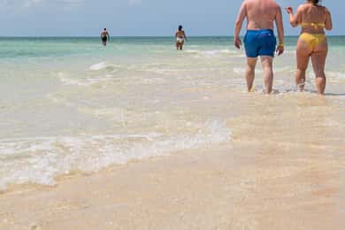 Zanzibar: avventura in mare alla scoperta del Safari Blu