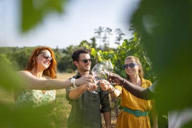 Wijntour door de Provence - Tour in kleine groep vanuit Cannes