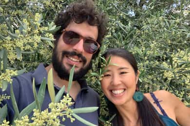 Olive grove walking, Puglian food and olive oil pairing tour