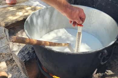 Naxos Private Cheese and Wine 6 Hour Experience